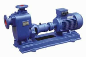 ZW��ʽ����������